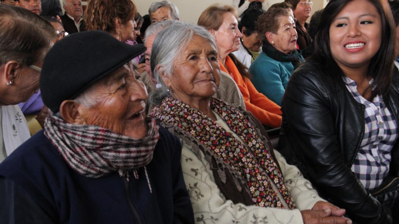 Demographic Shifts and Aging in Ecuador: Health Challenges and Policy Opportunities