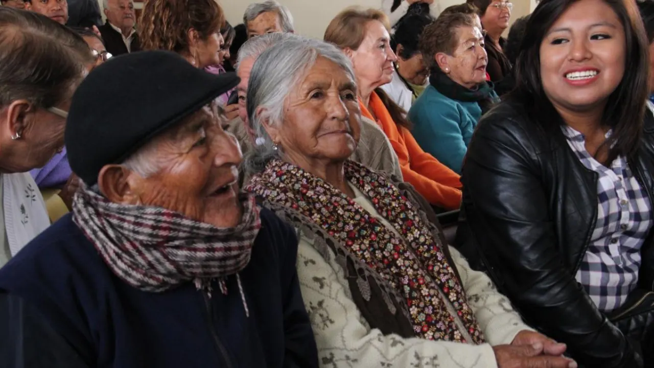 Demographic Shifts and Aging in Ecuador: Health Challenges and Policy Opportunities